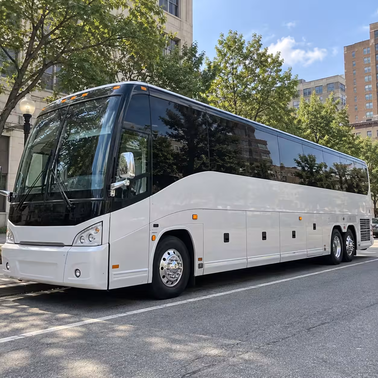 56 passenger charter bus