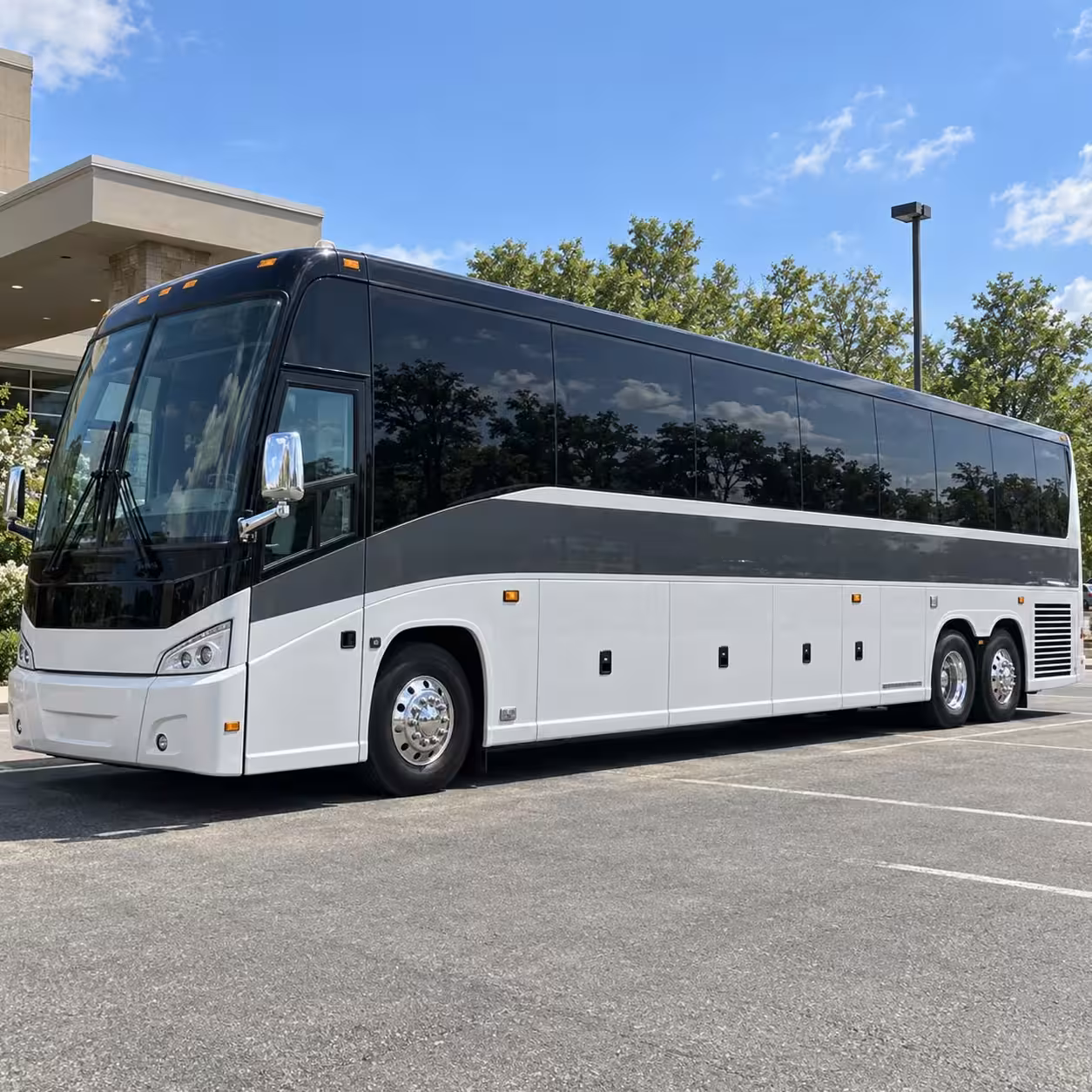 full night prom transportation in longmont dinner to after party